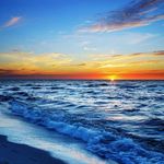 Joseph Sharp - @josephsharp4551 - Instagram