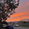 JosephSHARP2303 - @fwjoseph2303 - TikTok