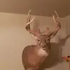 Joseph Sheets716 - @josephsheets4 - TikTok