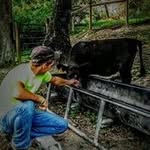 Joseph Sheets - @joseph.sheets - Instagram