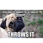 Joseph Shrader - @jshrader24 - Instagram