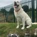 Joseph Simcox - Facebook
