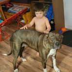 Joe Simental - Facebook