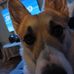 Joe Simonelli - Facebook
