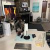 Joseph Simonelli - @joseph.simonelli - TikTok