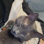 Joseph Sines - @berserkplayer96 - Instagram