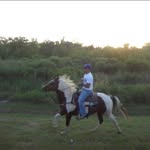 Joseph Wayne Singleton - @josephsingleton18 - Instagram