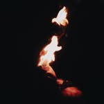 Joseph Sippel - @sippeljoseph - Instagram