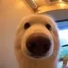 Joseph - @joseph_soley - TikTok