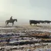 Josh_sonnenberg - @joshsonnenberg1990 - TikTok