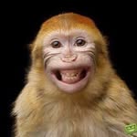 Joseph Sorge - @sorge_joseph - Instagram