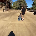 Joseph Sotelo - @josephsotelo97 - Instagram
