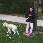 Joseph Spadafora - @joseph.spadafora.5 - Instagram