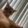 Joseph Spangenberg - @joseph.spangenber - TikTok