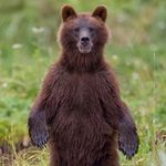 Joseph Spanglo - @josephspanglo - Instagram