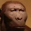 Joseph Spellman - @joseph.spellman - TikTok