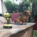 Joseph Spratt - Facebook