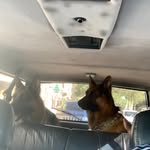 Elie Joseph Srour - @eliassrour - Instagram