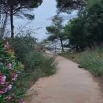 @josep.hsrour - Instagram