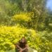 Joseph Stainer - Facebook
