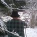 Joseph Stadnik - Facebook