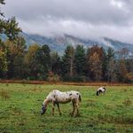 Joseph A. Stanfill - @camplife.wife - Instagram