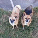 Joseph Steadman - @joseph.steadman - Instagram