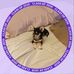 Joseph Steadman - Facebook