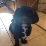 Joseph Steed - @football_joseph11 - Instagram