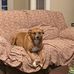 Joseph Steed - Facebook