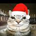 Joesph Steer - Facebook