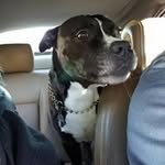 Joseph Steinhoff - @joestein99 - Instagram