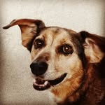 Joseph Sepanek - @thathistorydudeyouknow - Instagram