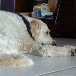 Joseph Stern - @josephstern11 - Instagram