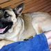 Joseph Stiltner - Facebook