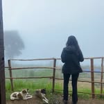 📸 Ms. Joseph untold stories - @ms.joseph_untold_stories - Instagram
