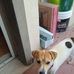 Giuseppe Strazzeri - Facebook