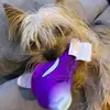 josephstrazzeri65 - @josephstrazzeri65 - TikTok
