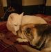 Joseph Stricker III - Facebook