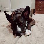 Joseph Tardiff - @j_tardiff3 - Instagram