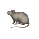 Joseph Tarnowski - @stupid_rat_vids - Instagram