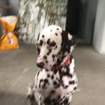 joseph francis tecson - @jops_tecson - Instagram