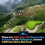 Joseph Tee - @joseph.thamba - Instagram