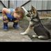 Joe Tenenbaum - Facebook
