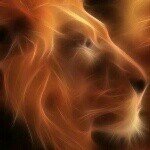 Joseph - @josephterra - Instagram