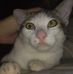 Joseph Teves - Facebook