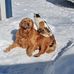 Joseph Theisen - Facebook