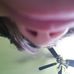 Joseph Thiessen - Facebook