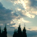 Joseph Thurber - @dazzinsu - Instagram
