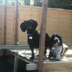 Joseph William - @joseph_toller189 - Instagram